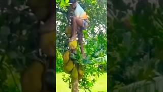 This went wrong 😭 #shorts #viralcomedy #funnyshorts #elizacomedy