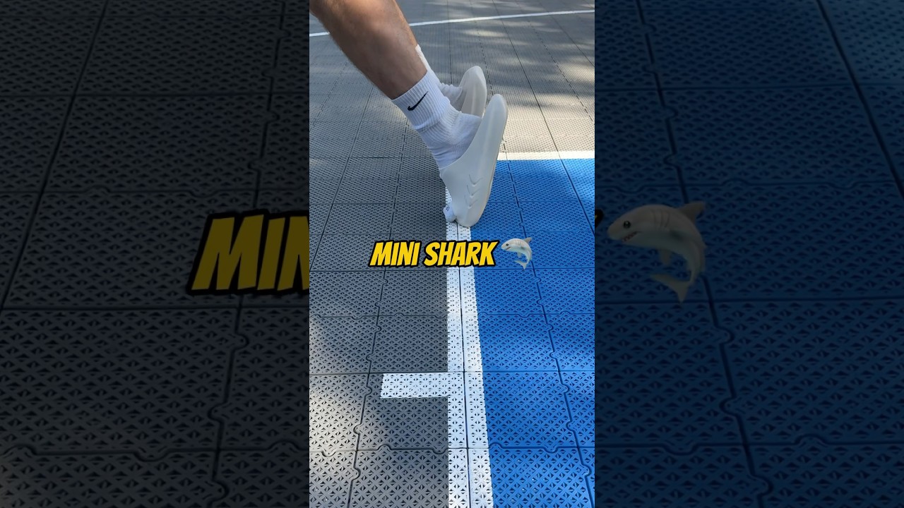 RIGORER MINI-SHARK SLIDE DURABILITY TEST 💪