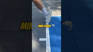 Rigorer Mini-Shark Slide Durability Test