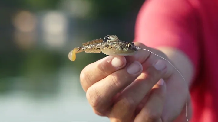 A Deeper Look at the Gobius