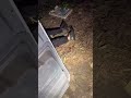 ナマニクなった人