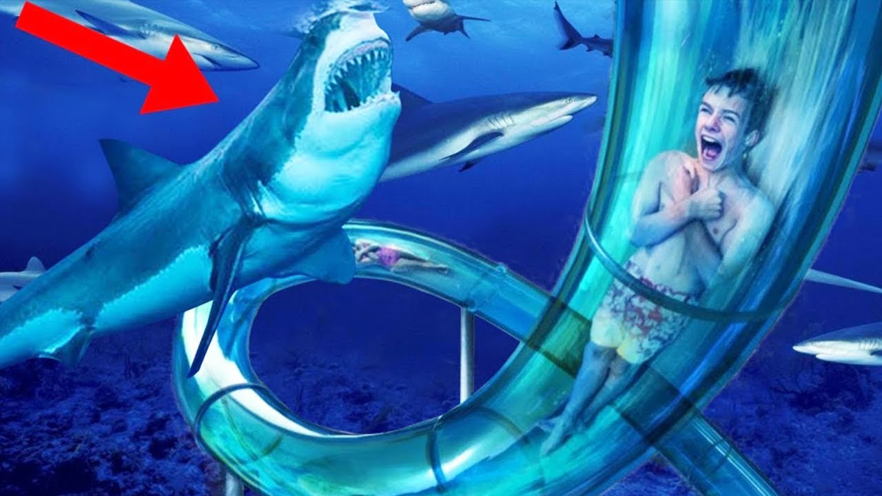  Water Slide Worlds Deadliest 