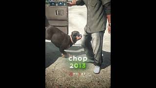 Gta 5  Chop  gta gta5 gtav