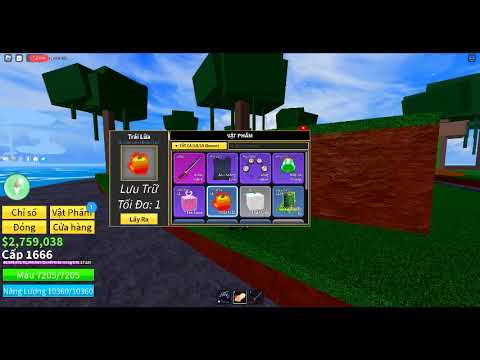 Video TẶNG ACC BLOX FRUIT - youtube