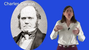 Change Your Thoughts, Change Your Life   University of California, San Diego