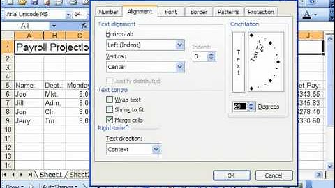 Excel 2003 Tutorial The Alignment Tab Microsoft Training Lesson 7.4