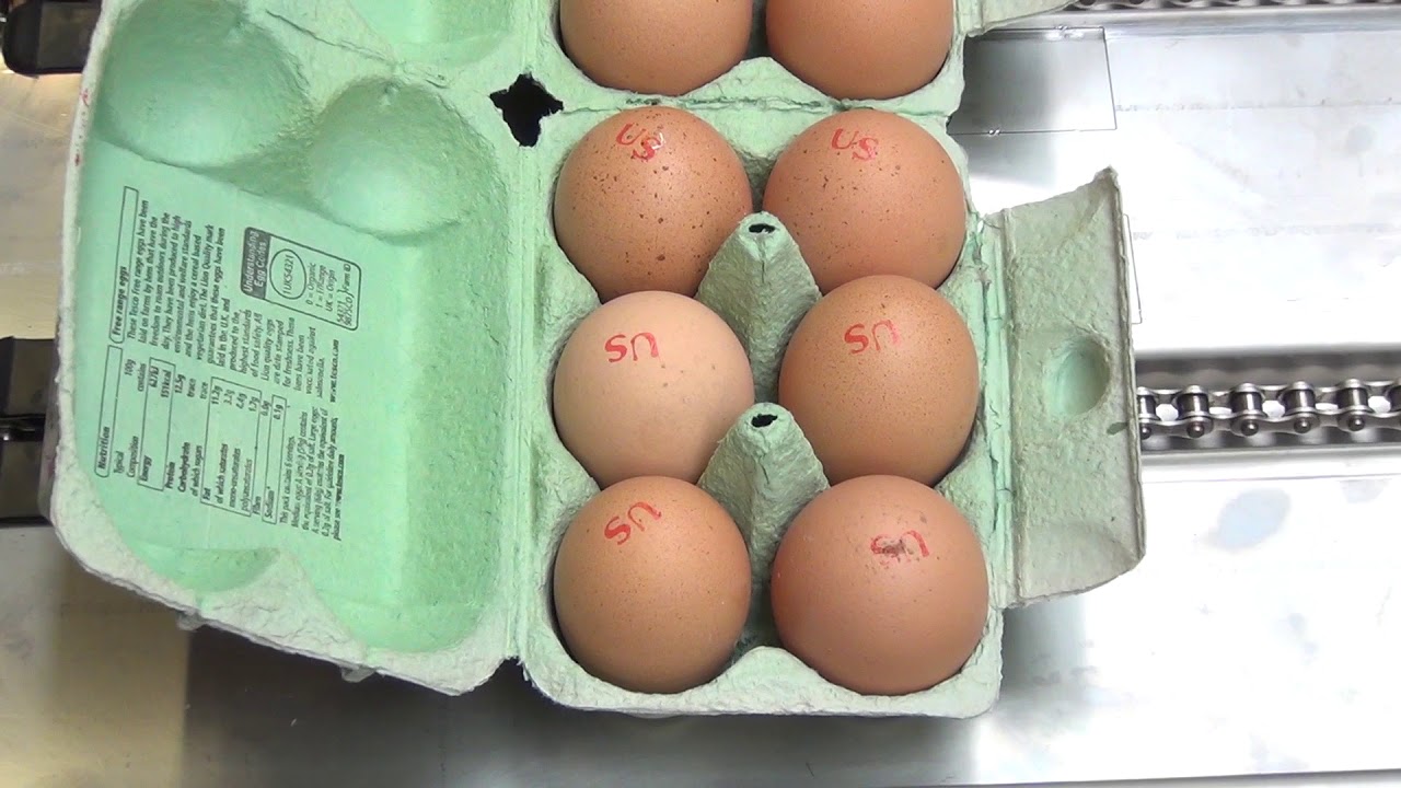 Nuovo Egg Stamper - Easy Stamp R6 on Moba 2500