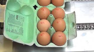 Nuovo Egg Stamper - Easy Stamp R6 on Moba 2500
