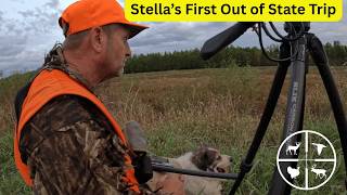 Hunting With Stella .....First Road Trip