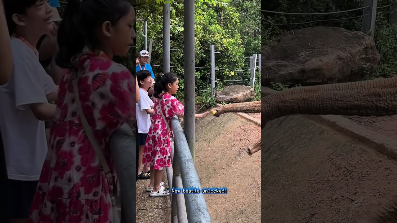 So close! 🐘👶 New bestie unlocked! 😂