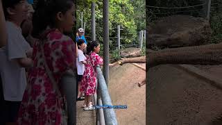 So Close New Bestie Unlocked