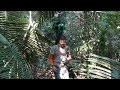 Google's new Street View allows viewers to explore Amazon jungle