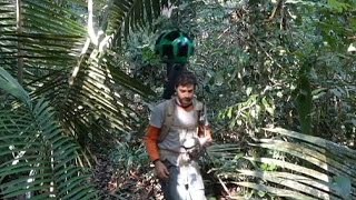 Google's new Street View allows viewers to explore Amazon jungle