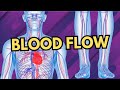 Improve Blood Flow In Legs, Back &amp; More. No Exercises