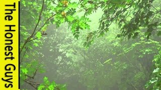 GUIDED Sleep Talk Down to Rain Sounds. Deepest Relaxation to Nature Sounds
