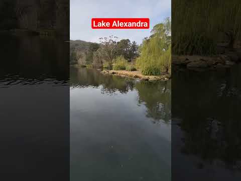 Lake Alexandra, Mittagong NSW Australia #shorts #travel #scenic #roadtrip #Lake #Australia