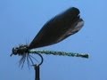 Fly Tying an Ebony Jewelwing with Jim Misiura