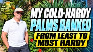 My Cold-Hardy Palms Ranked from Least to Most Hardy