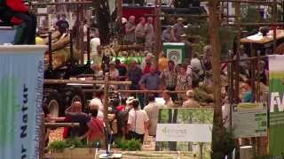 Shredding, chopping, sawing and thrilling extreme sports at INTERFORST 2014