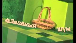 Феерическим концертом закончился фестиваль "Зелёный шум"