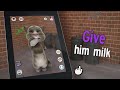 Talking tom cat  gameplay trailer reupload