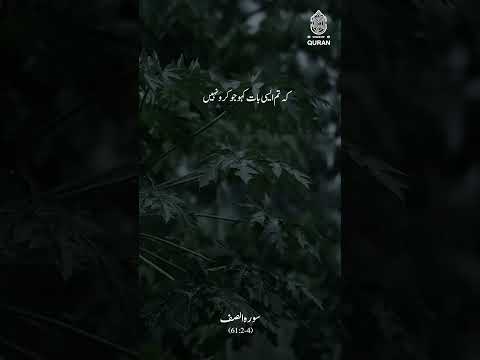 Surah As-Saff Verse 2-4 | #quranquotes #viralvideo