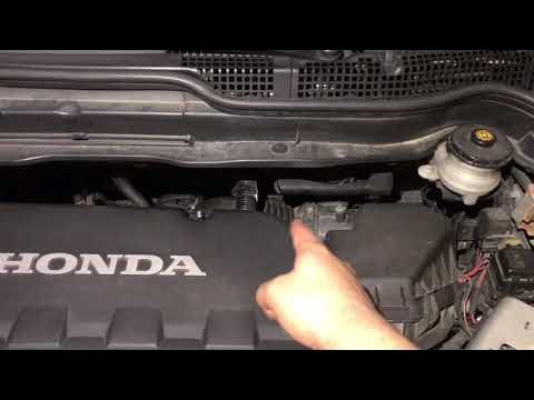 Анна Кошмалдың жалаңаш бөксесі