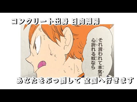 静止画MAD 烏野高校VS白鳥沢学園✖️かくれんぼ(AliA)