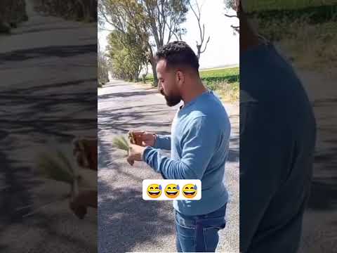 الخويل لخويل خويل اخويل الخال لخال اخال خال خالي Lkhouil Lkhwil Khwil Khouil