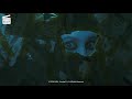 The Grudge 2 The Ghost Next Door HD CLIP 