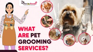 Grooming Services That Will Make Your Pet Shine | Pet Care Expert