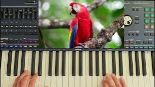 KorgStyle - Wild Nature  ( Relaxing Euro Disco & Danekoo1)Instrumental 2025
