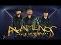 Los Alameños De La Sierra - El Coco Rayado , La Picare Y La Burra Orejona  (En Vivo) 2022🔥