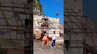 जय माता दी.....🙏उमगा सूर्य मंदिर मदनपुर औरंगाबाद🙏❤️ #video #song #music #puja #maa #matarani #short