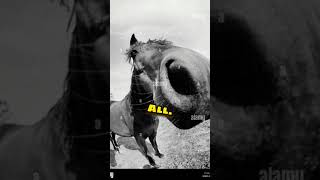 3 most funny pictures