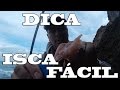 SEGREDOS DE PESCA - DICA ISCA FÁCIL