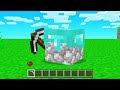 TURN Into *ANY* BLOCK In Minecraft!