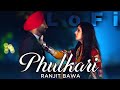 Ranjit Bawa - Kami Mehsoos Meri - Phulkari (Lo-Fi) | Latest Punjabi Songs | Saga Music