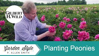 Peonies: Planting and Care Tips | Garden Style (1910)