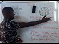 Biology 2025 on Transport in plants