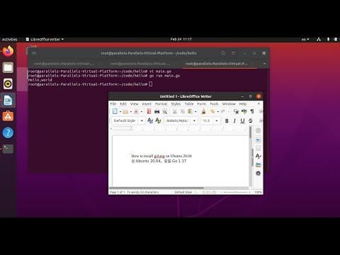 在 Ubuntu 20.04，安装 Go 1.17