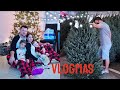 VLOGMAS #1: ПОКУПАЕМ ЖИВУЮ ЕЛКУ / АМЕРИКА / ВЛОГ / VLOG