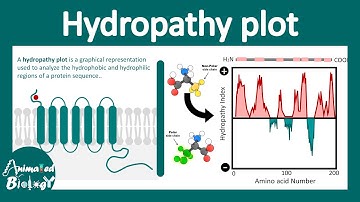 Hydropathy plot | How to interpret Hydropathy plot? Transmembrane protein | Cell biology