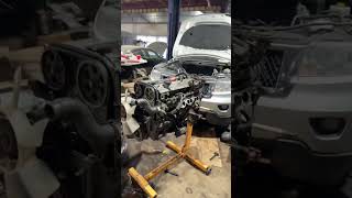 cressida might not be fried Net Worth