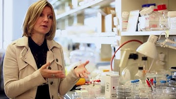 Human on a chip development signals the end of animal testing