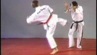Hapkido side kick defense