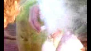 Watermelon + Dry Ice Bomb 3