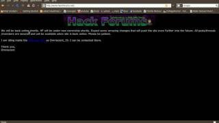 Hf Is Back In Buisness- New Administrator Interview