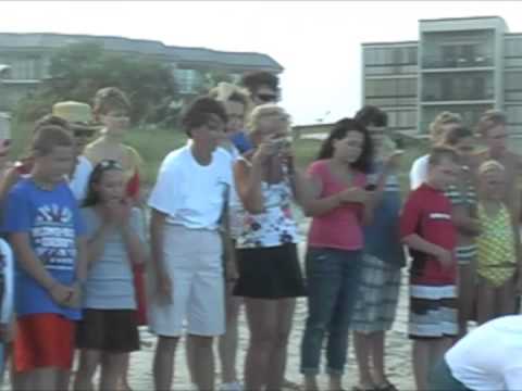 Sea Turtle Inventory Release Nest 3