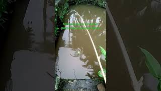 memancing di air keruh
